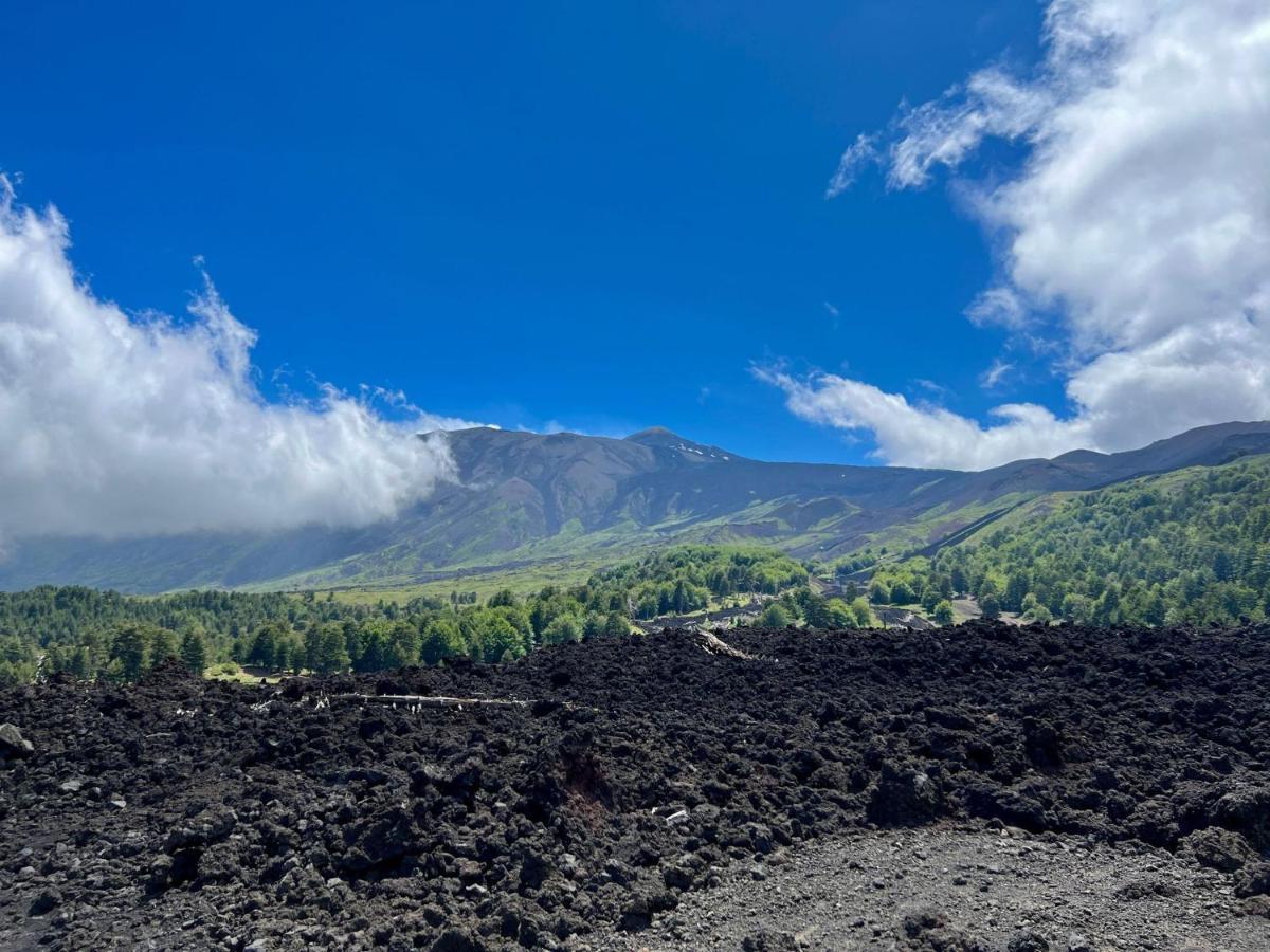 Etna City Home Accogliente Nel Cuore Di Catánia Buitenkant foto